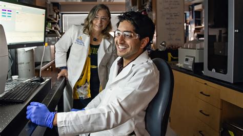 Phd Program Neuroscience University Of Michigan Medical School