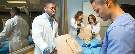 Physician Assistant Programs Health Care Sciences Nova Southeastern