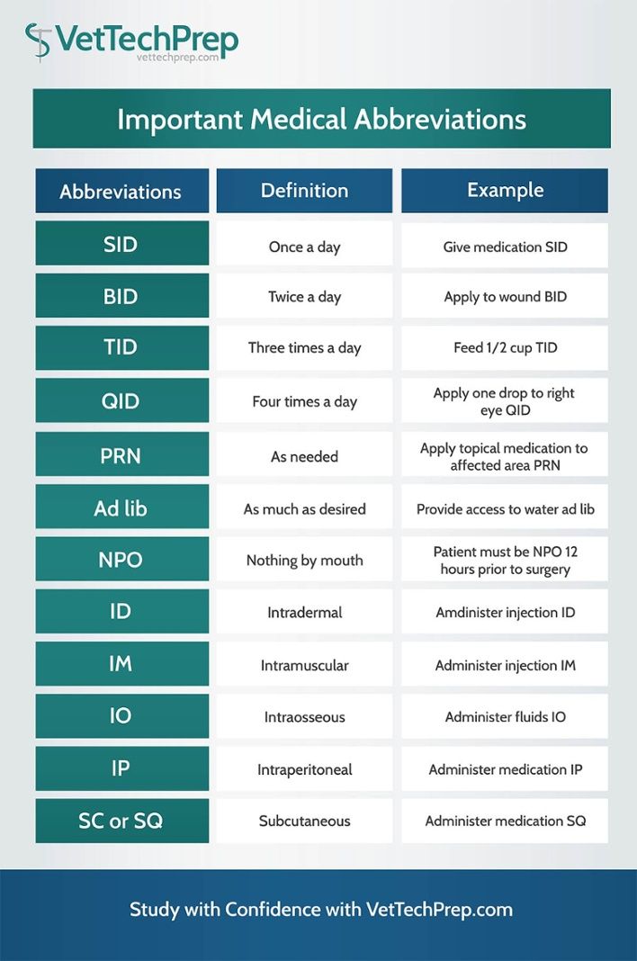 Pin By Tori Phillips On First Responder Medical Abbreviations