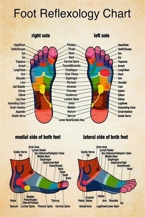 Pin On Foot Chart