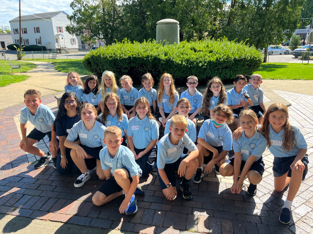 Plant And Animal Basic Needs Sort By Mrs Meehan Tpt