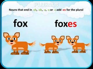 Plural Of Fox-3