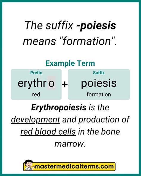Poiesis Medical Term