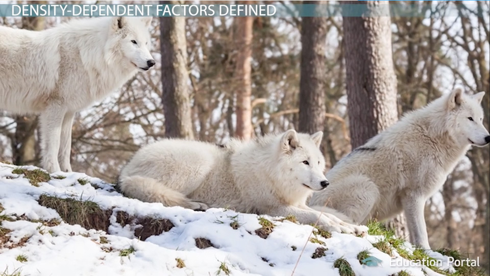 Population Distribution Defined