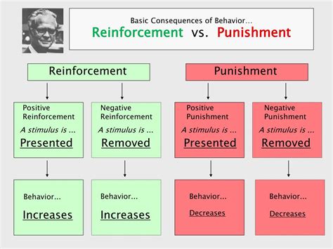 Positive Punishment And Negative Reinforcement Examples Conciergetaste