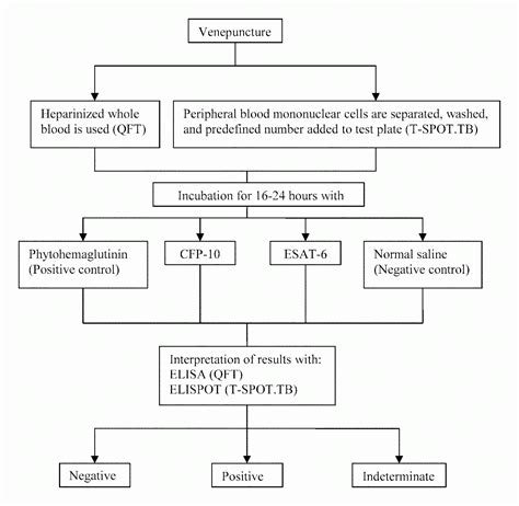 Positive Quantiferon Gold Test