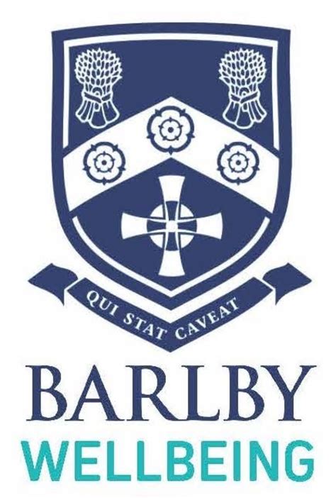 Positive Wellbeing Barlby High School 184