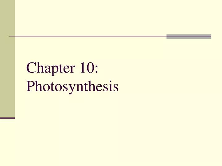 Ppt Chapter 10 Photosynthesis Powerpoint Presentation Free Download