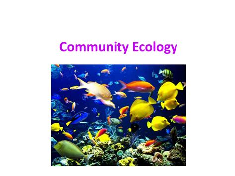 Ppt Community Ecology Powerpoint Presentation Id 2196167