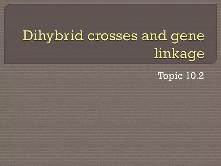 Ppt Dihybrid Crosses And Gene Linkage Powerpoint Presentation Free