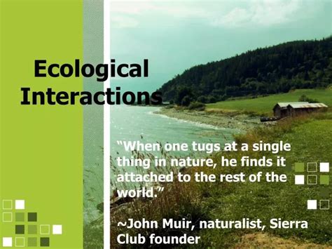 Ppt Ecological Interactions Powerpoint Presentation Free Download