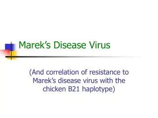 Ppt Marek S Disease Virus Powerpoint Presentation Free Download Id