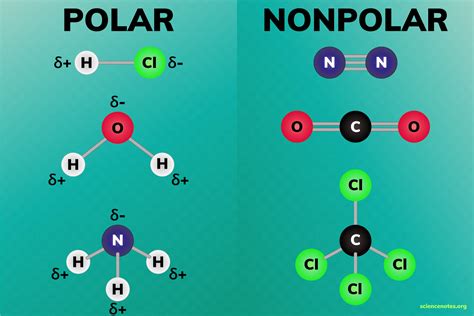 Ppt Polar And Nonpolar Molecules