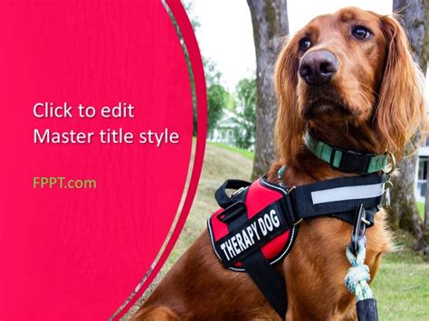 Ppt Register Emotional Support Dog Powerpoint Presentation Free