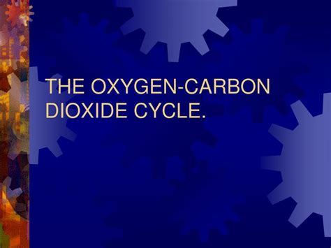 Ppt The Oxygen Carbon Dioxide Cycle Powerpoint Presentation Id 259743