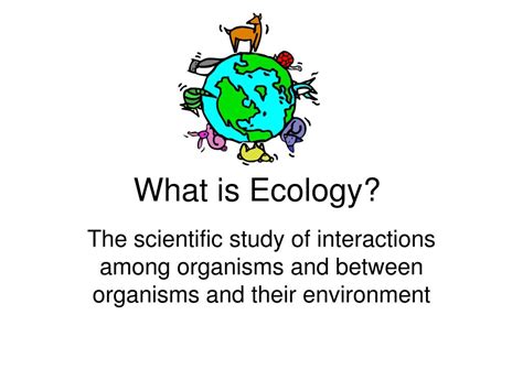 Ppt What Is Ecology Powerpoint Presentation Id 2981112