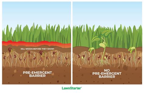 Pre Emergent Herbicides Remain Important