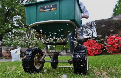 Pre Emergent Weed Control Plantingtree