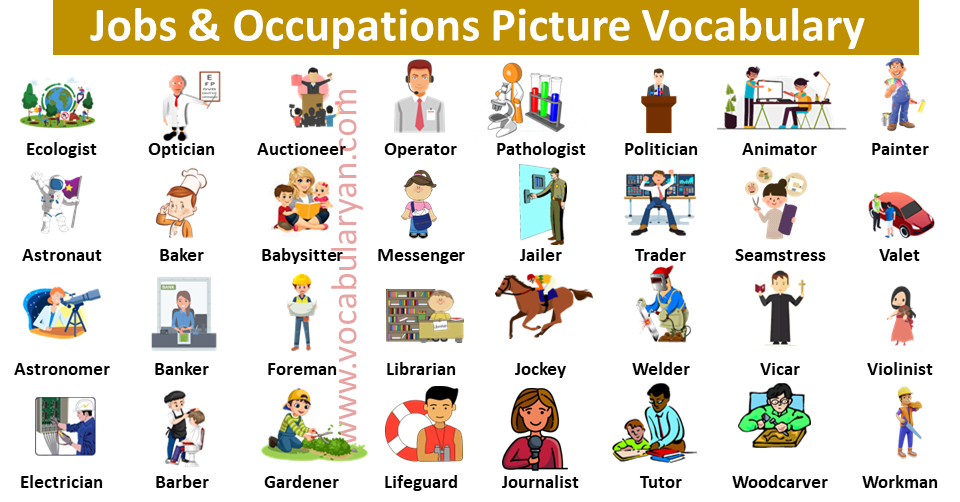 Professions And Occupations Eduflix
