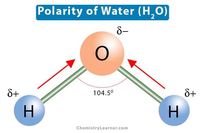 Properties Of Water Polarity Vrogue Co