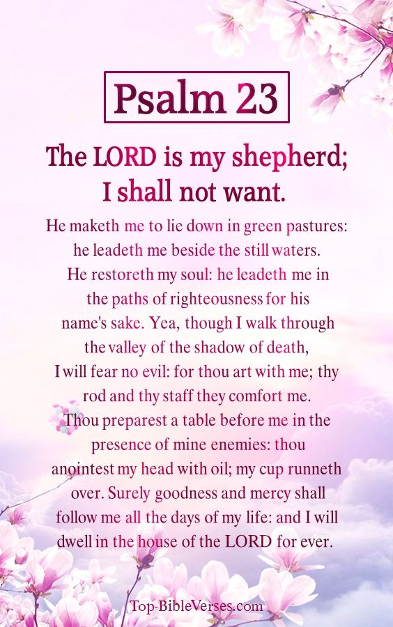 Psalm 23 Bible Verse Images Psalm 23 1 6 Bible Verse Pictures