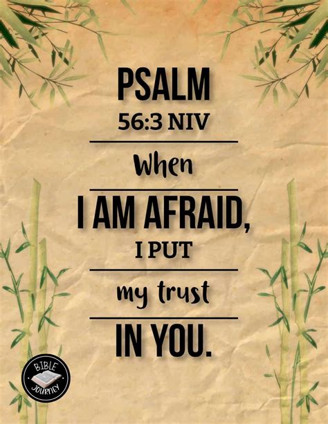 Psalm 56 3 Bible Verse Nlt Dailyverses Net