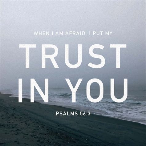 Psalms 56 3 4 When I Am Afraid I Will Put My Trust In You In God Whose
