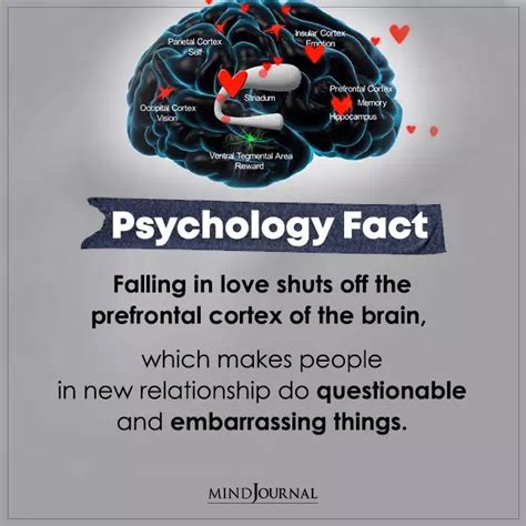 Psychology Facts About Love Artofit