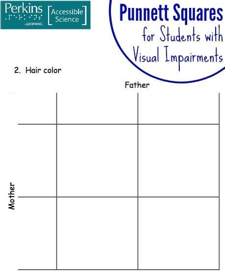 Punnett Square Eye Color Worksheet Worksheets For Kindergarten