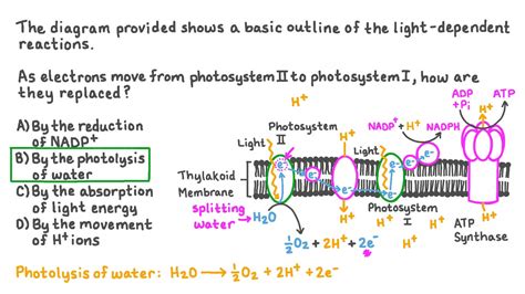 Question Video Recalling How Electrons Are Supplied To The Electron