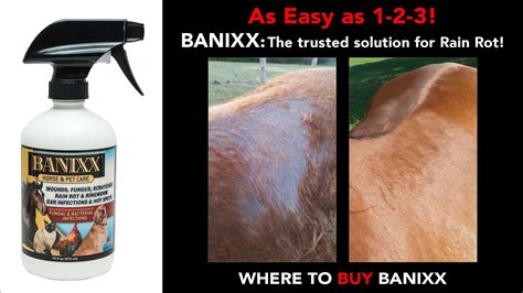 Rain Rot In Horses Banixx Rain Rot Treatment For Horses