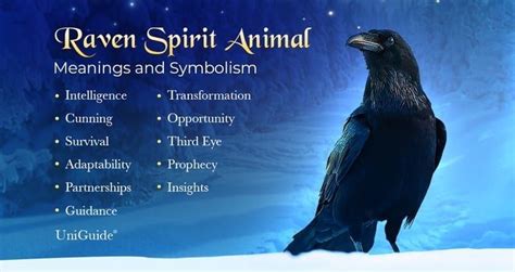 Raven Symbolism Raven Meaning Power Animals Power Animal Whats