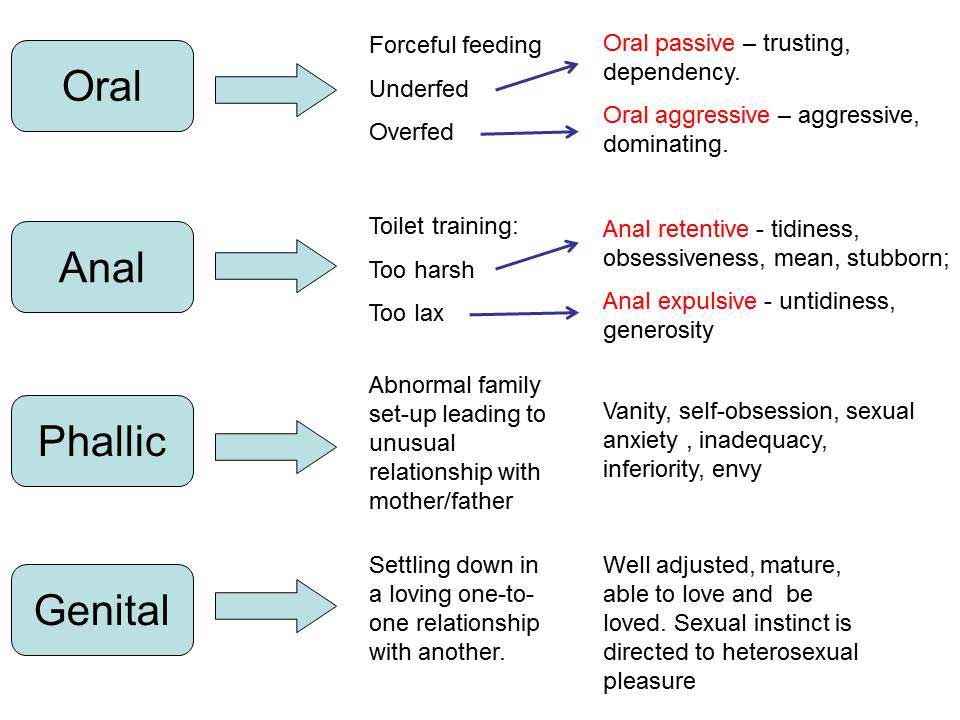 Reading And Worksheet For Freud Personality Theory Dev Onallcylinders Com