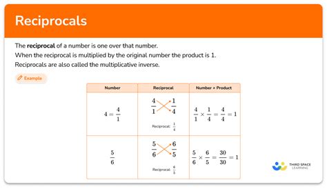 Reciprocal Math Math Steps Examples Questions