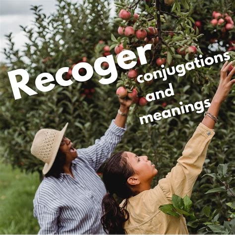 Recoger Meaning in English