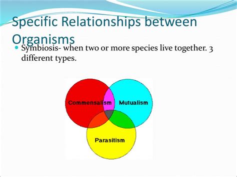 Relationships Of Organisms For Biologists And Middle Schoolers Ppt