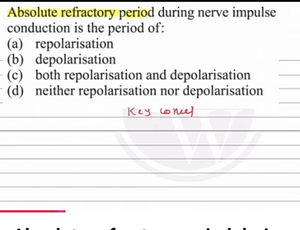 Relative Refractory Period The Nerve Impulse
