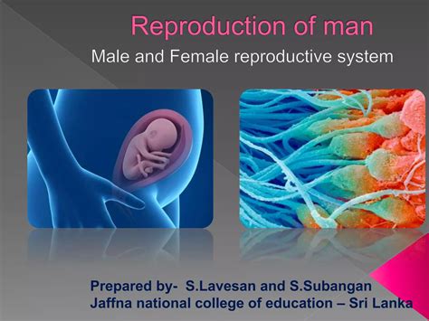 Reproductive Systems Ppt Download