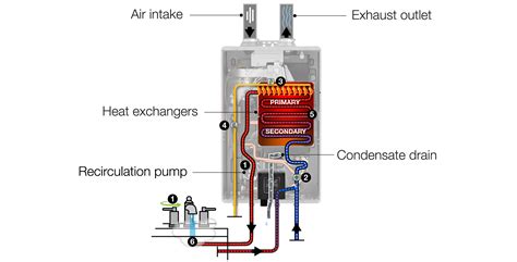 Rheem Tankless Water Heater Parts Diagram Reviewmotors Co