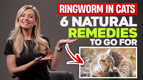 Ringworm In Cats How To Treat Ringworm In Cats At Home Remedy My Xxx