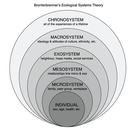 Role Theory And Social Systems Theory