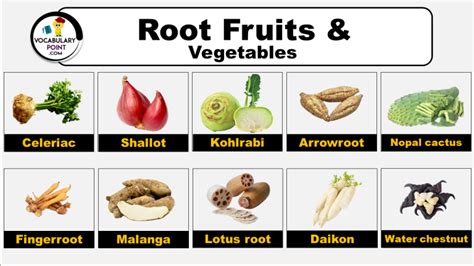 Root Fruits And Vegetables List List Of Root Veg Vocabulary Point