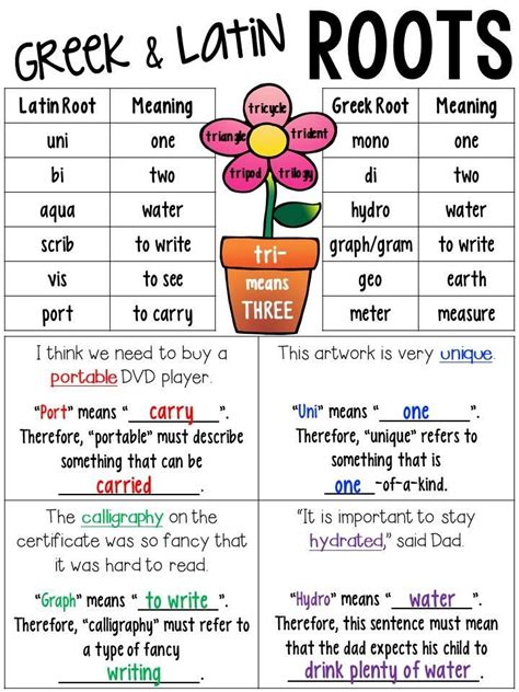 Root Words Anchor Chart For Greek And Latin Root Words Anchor Chart