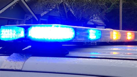 Ryan Edward Alice Chaplin Biography