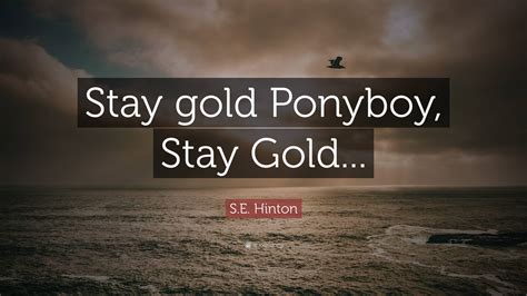 S E Hinton Quote Stay Gold Ponyboy Stay Gold 12 Wallpapers