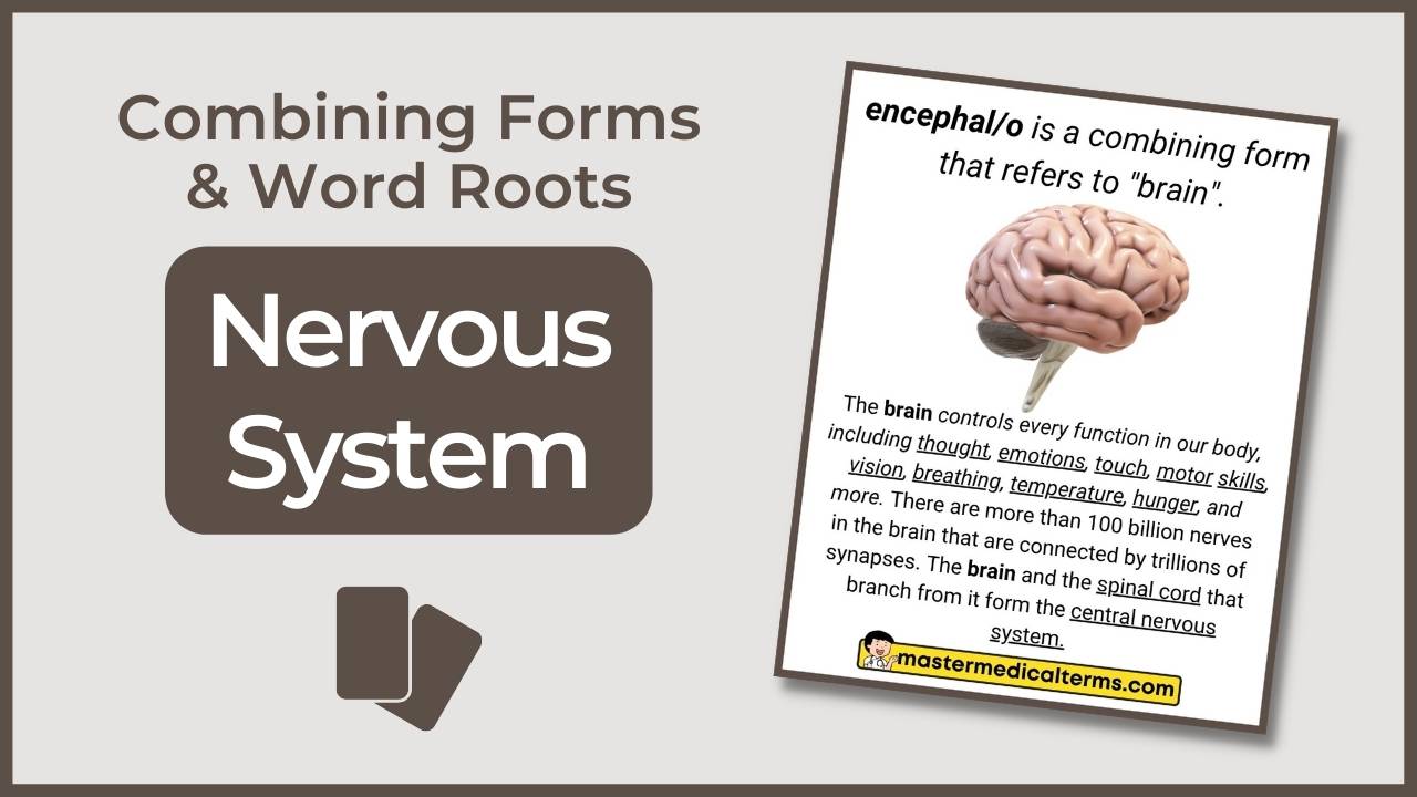 Salping O Master Medical Terms