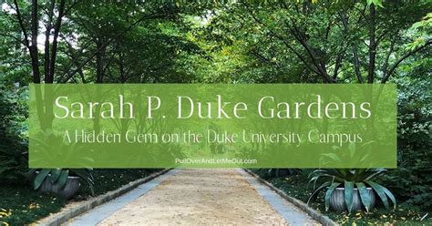 Sarah P Duke Gardens A Hidden Gem On The Duke University Campus