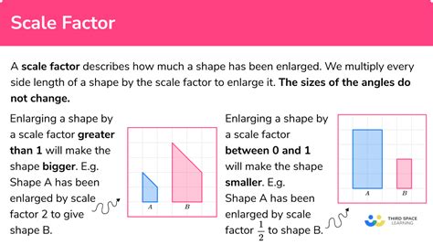 Scale Factor Gcse Maths Steps Examples Worksheet