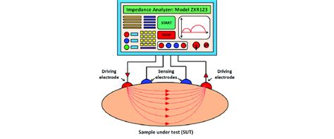 Schematic Of The Electrical Impedance Spectroscopy Eis Of A Material