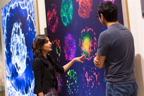Scientific Art Lights Up Main Street Mit News Massachusetts